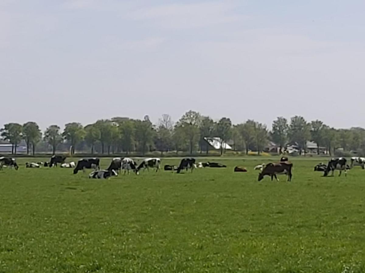 Luxe Gastenverblijf In Het Hart Van Friesland Akkrum Extérieur photo