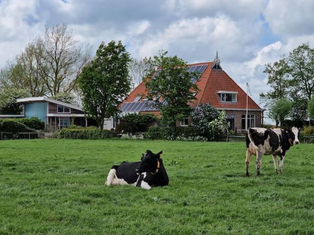 Luxe Gastenverblijf In Het Hart Van Friesland Akkrum Extérieur photo